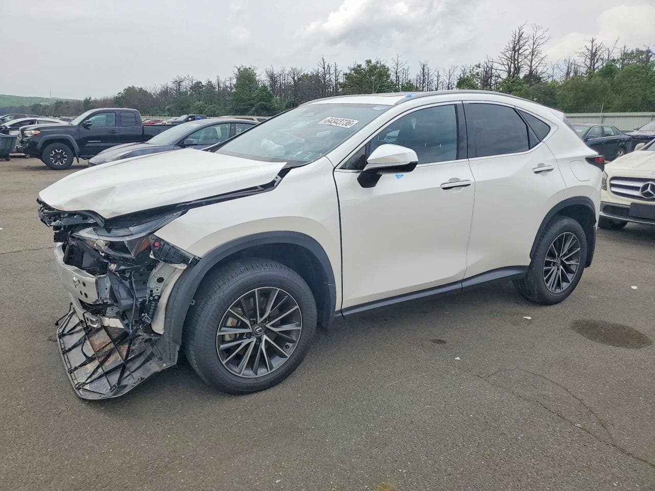 2024 LEXUS NX 350H