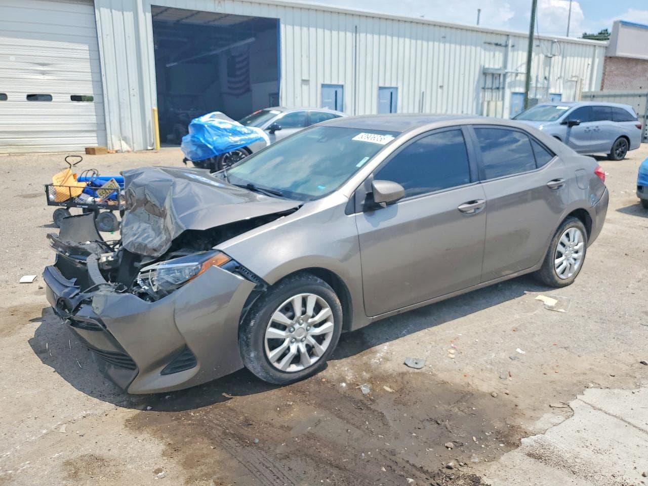 2019 TOYOTA COROLLA