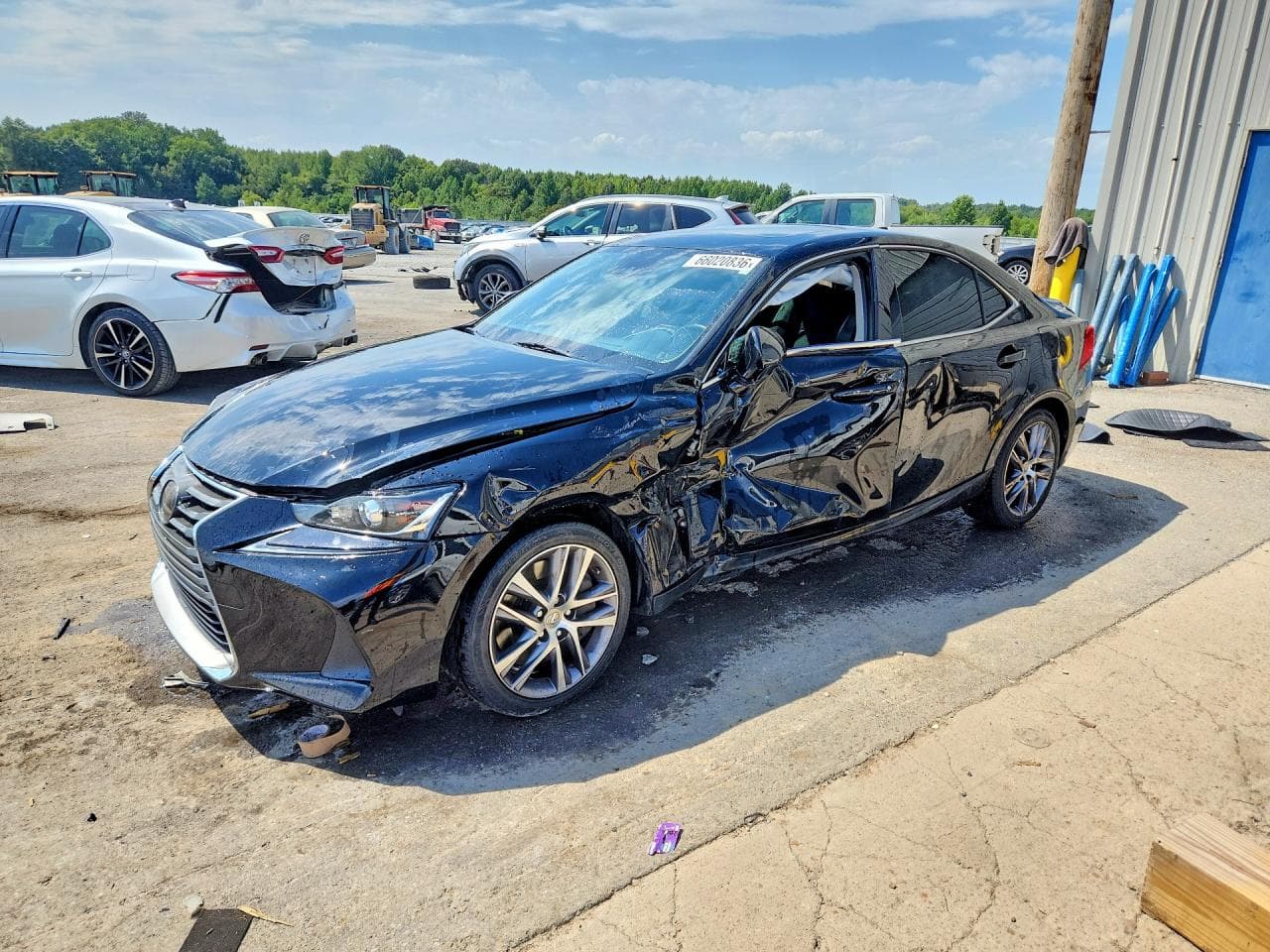 LEXUS IS