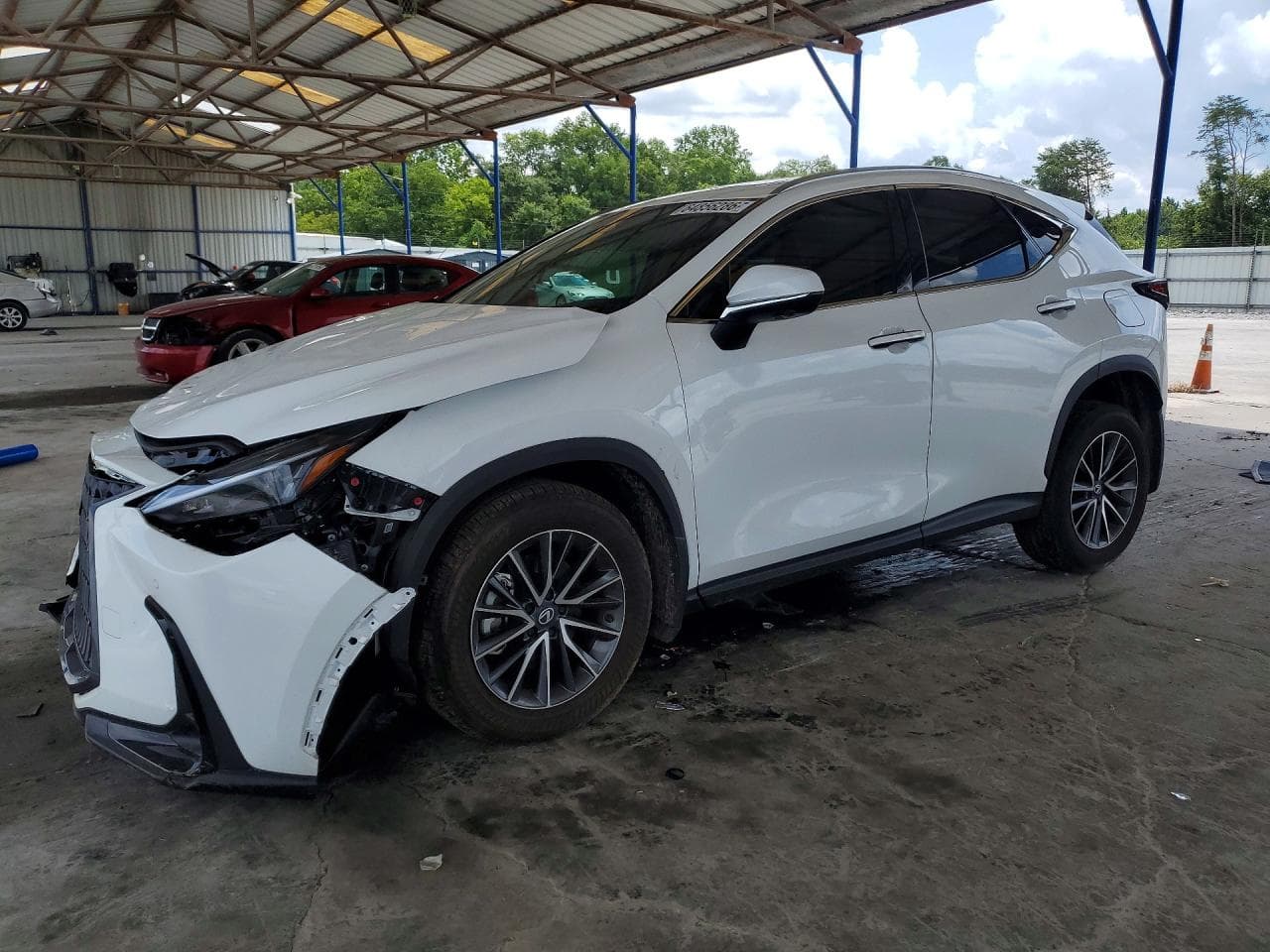 LEXUS NX