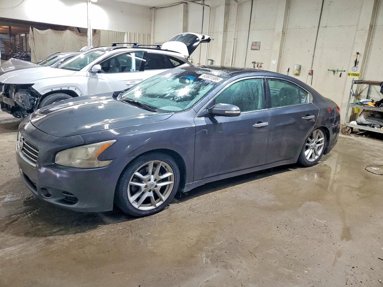 NISSAN MAXIMA