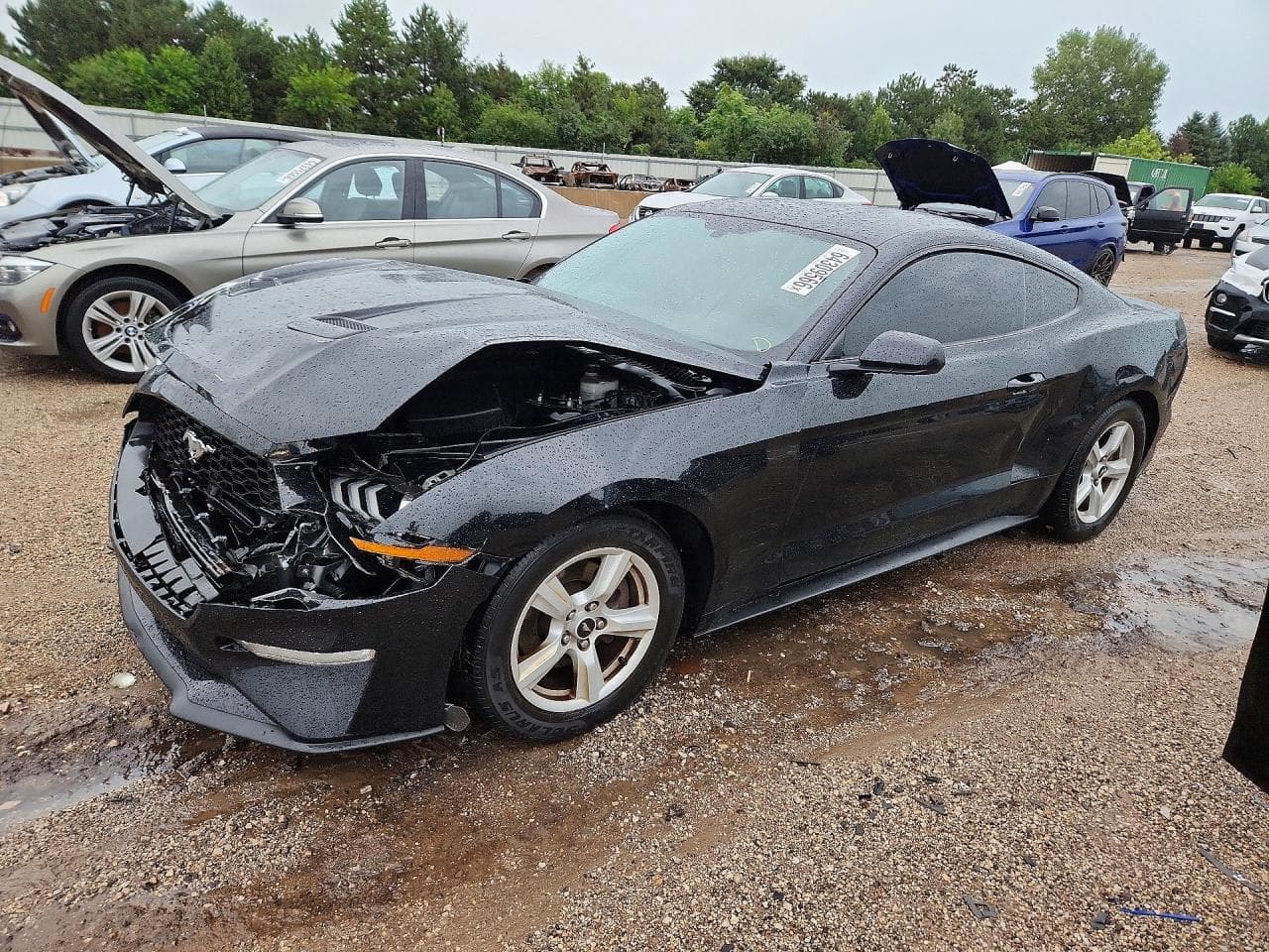 FORD MUSTANG