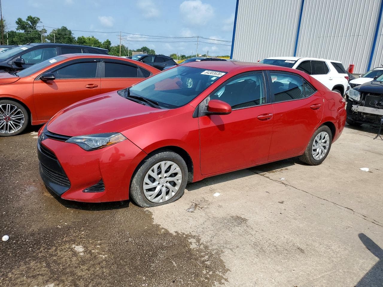 TOYOTA COROLLA