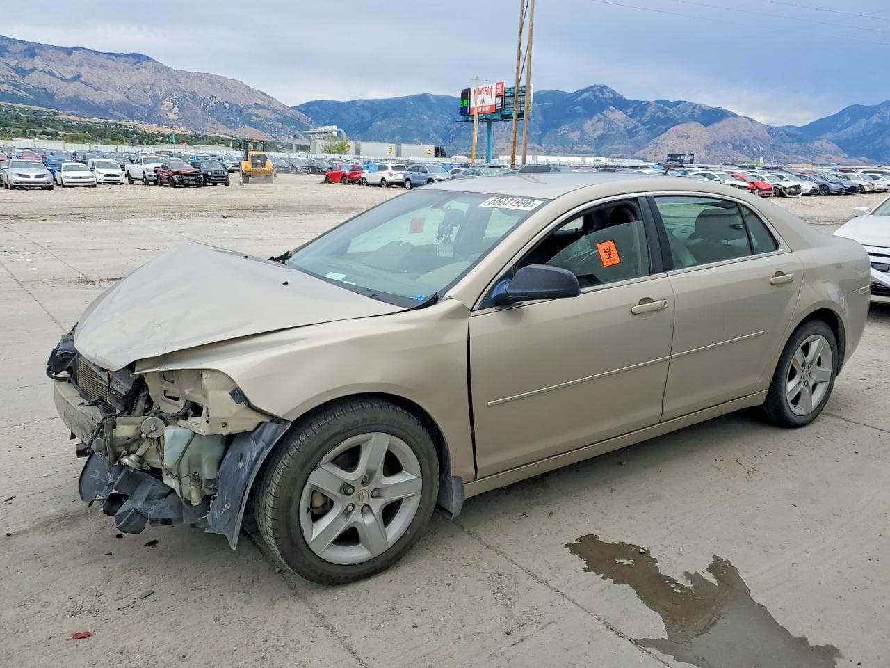 CHEVROLET MALIBU