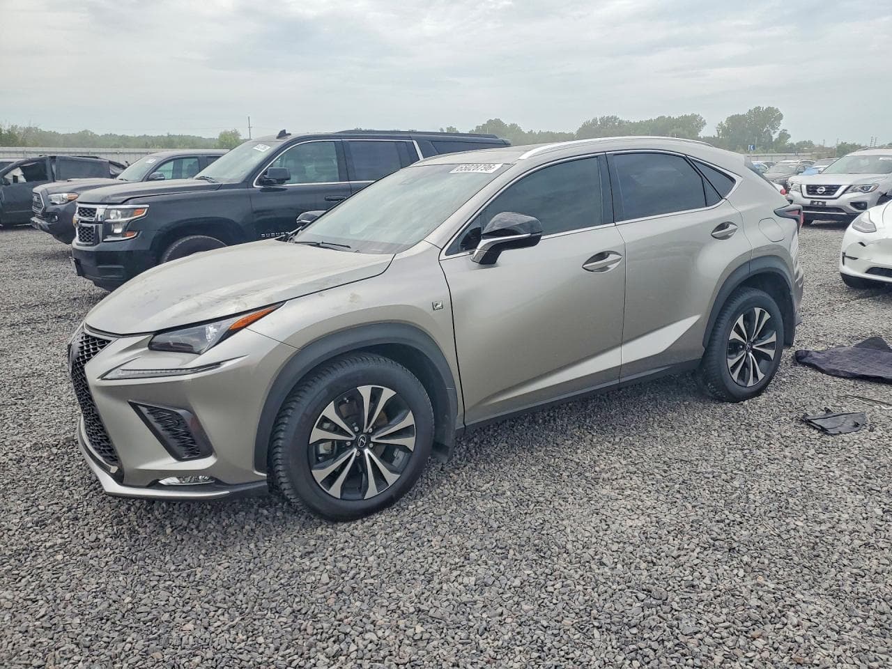 LEXUS NX 300