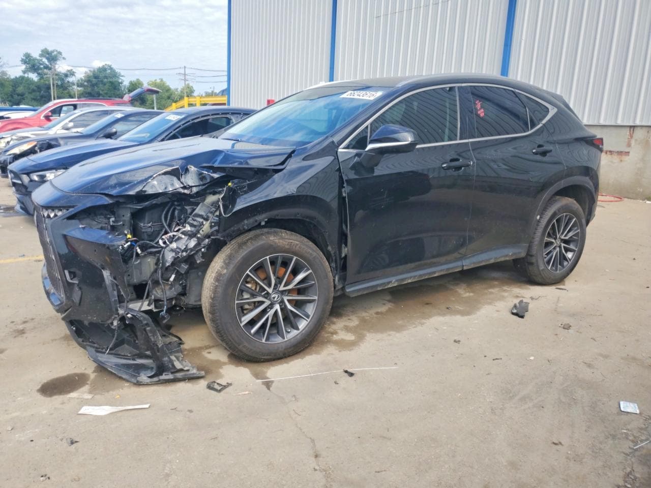 LEXUS NX