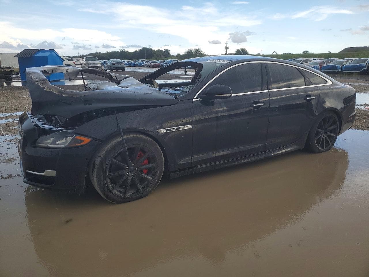 JAGUAR XJ