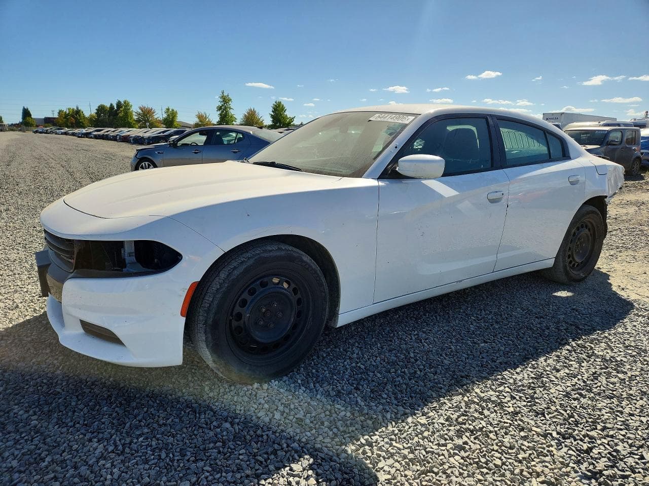DODGE CHARGER