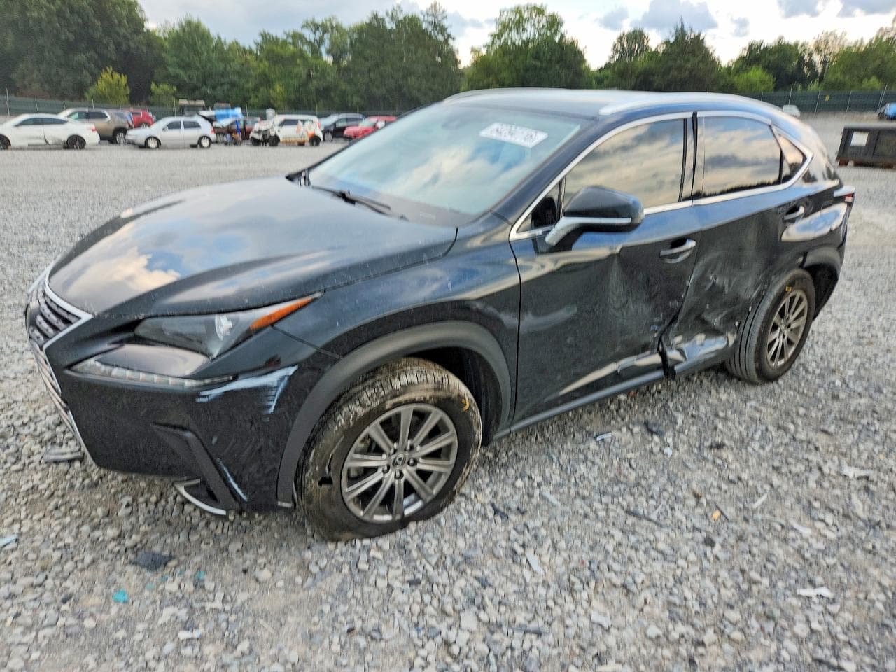 LEXUS NX 300