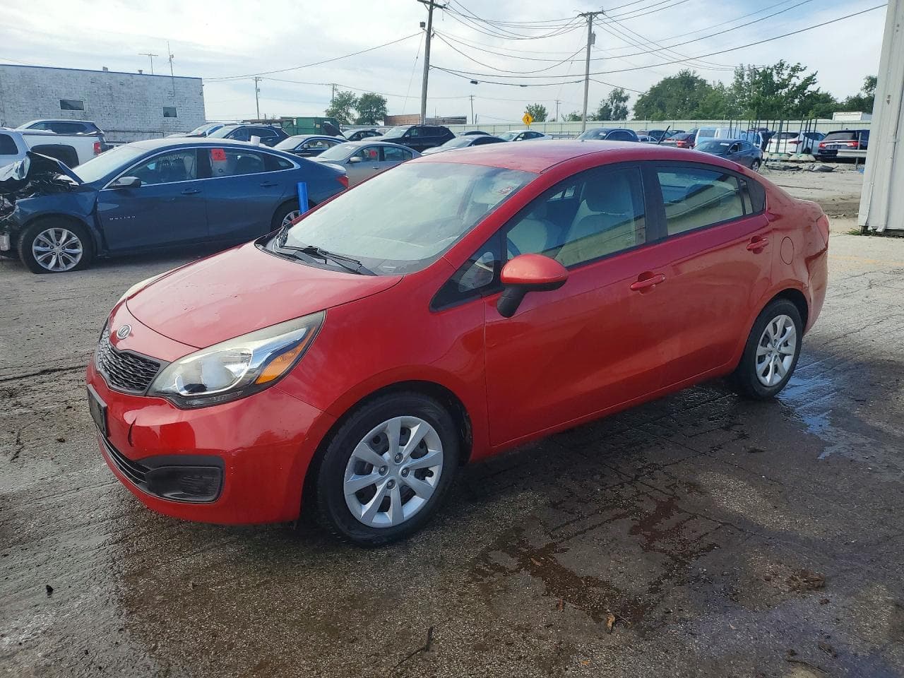 KIA RIO