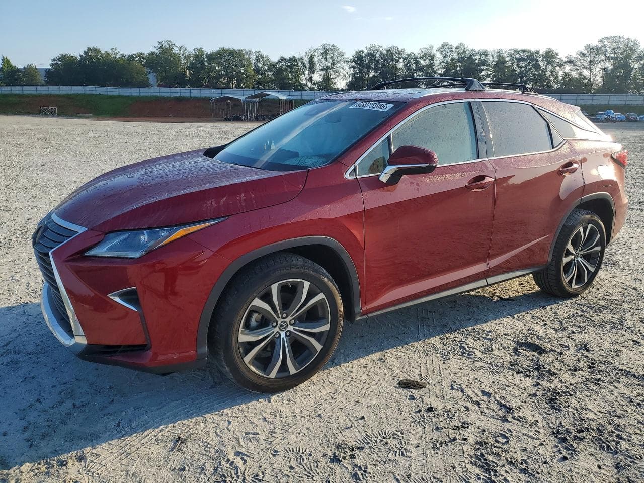 2019 LEXUS RX 350