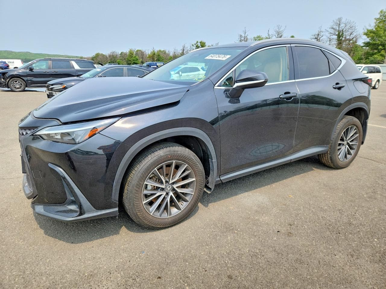 LEXUS NX