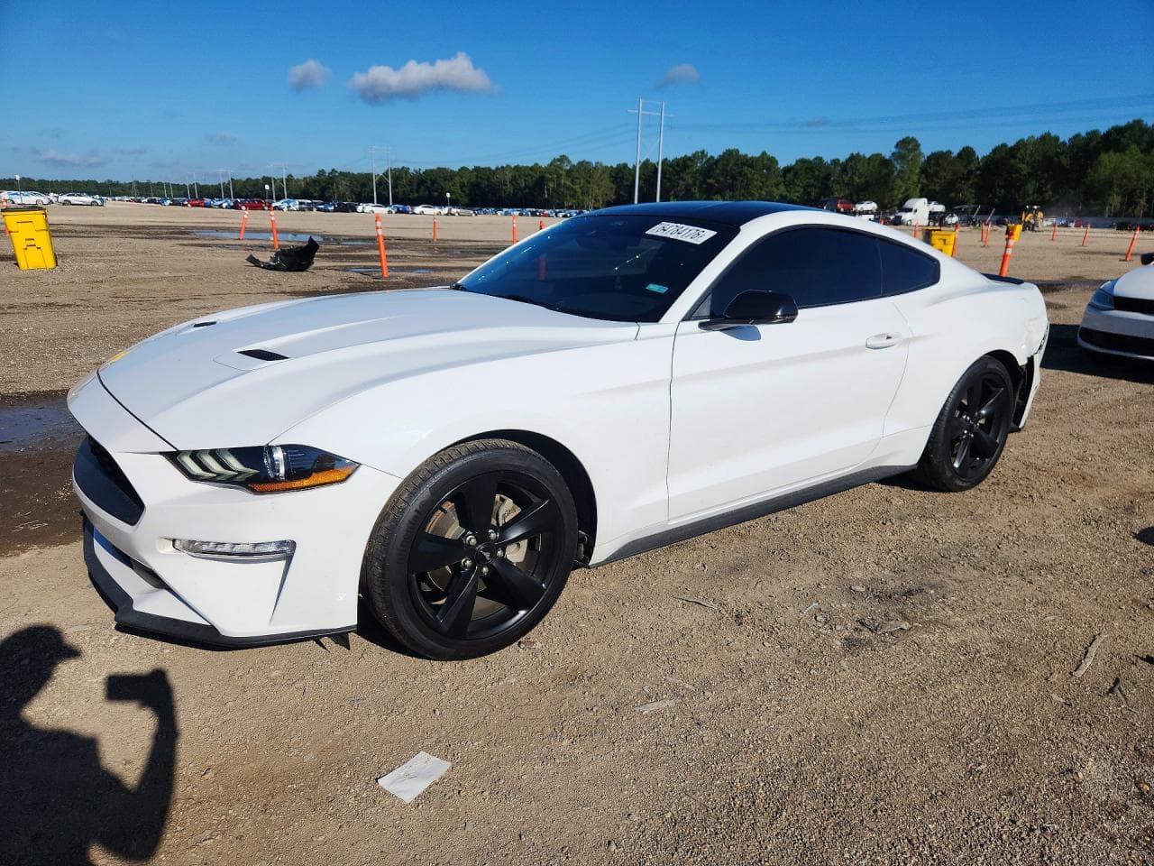 FORD MUSTANG