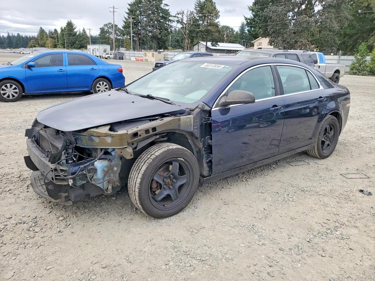 CHEVROLET MALIBU