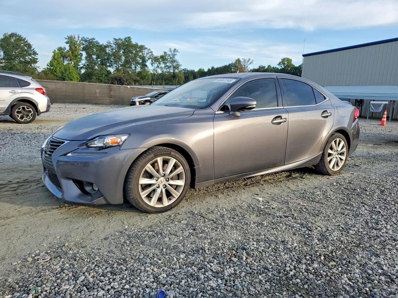 LEXUS IS