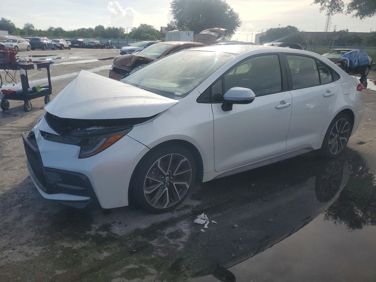 TOYOTA COROLLA