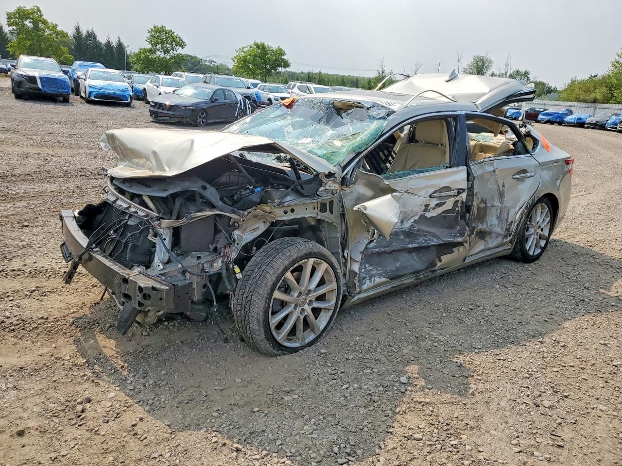 TOYOTA AVALON