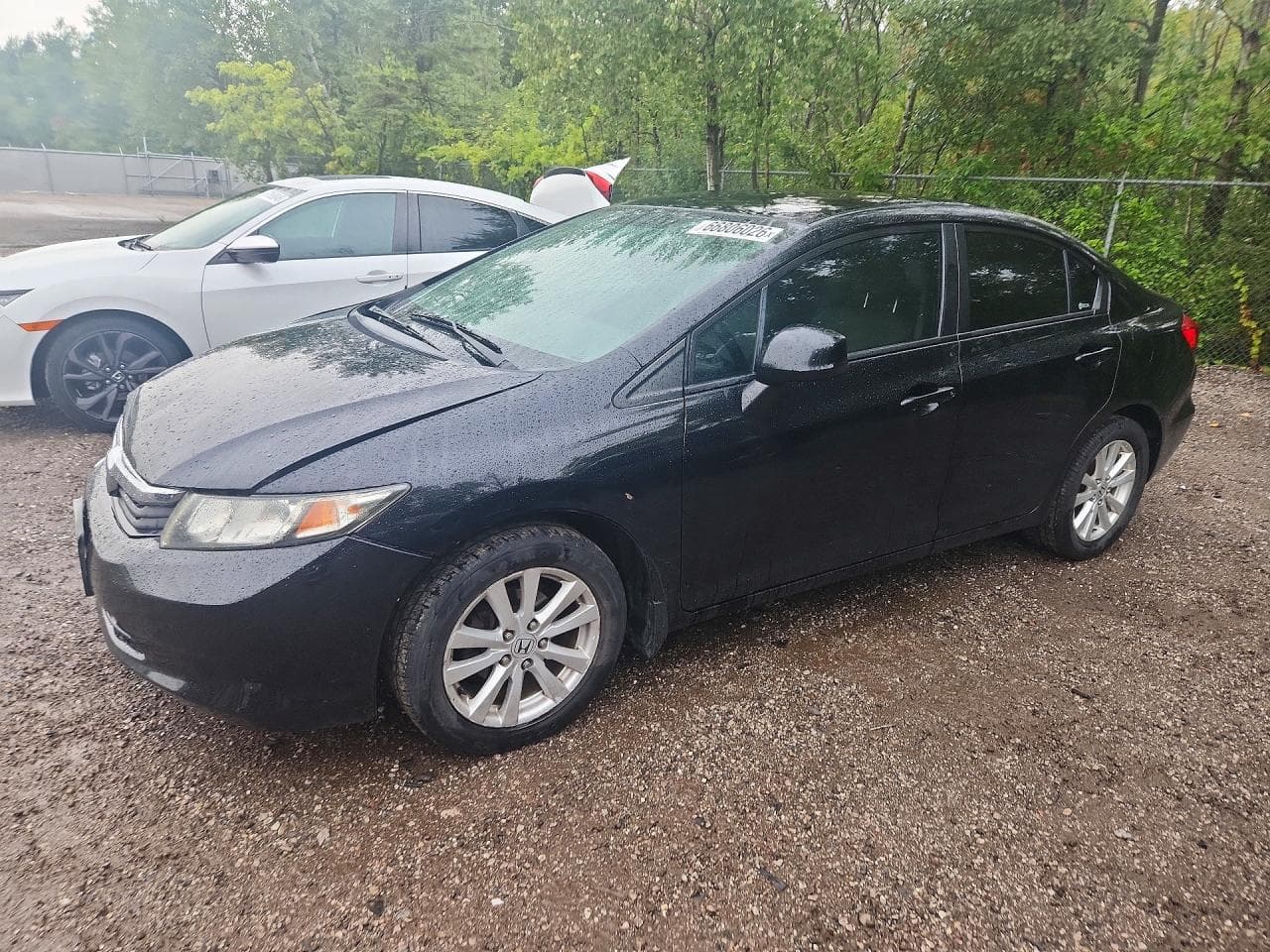 HONDA CIVIC