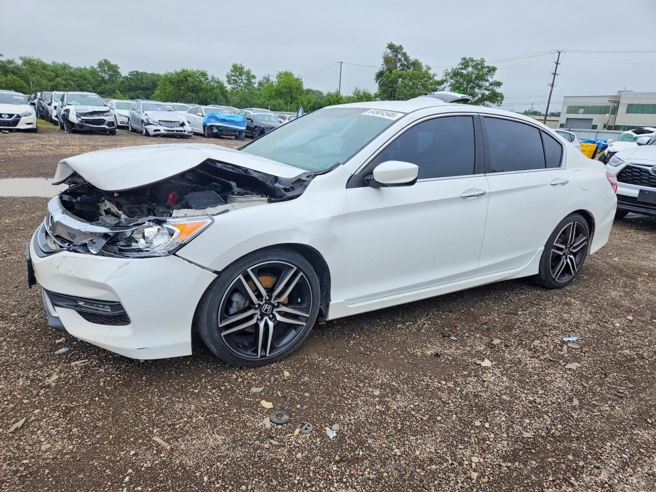 HONDA ACCORD