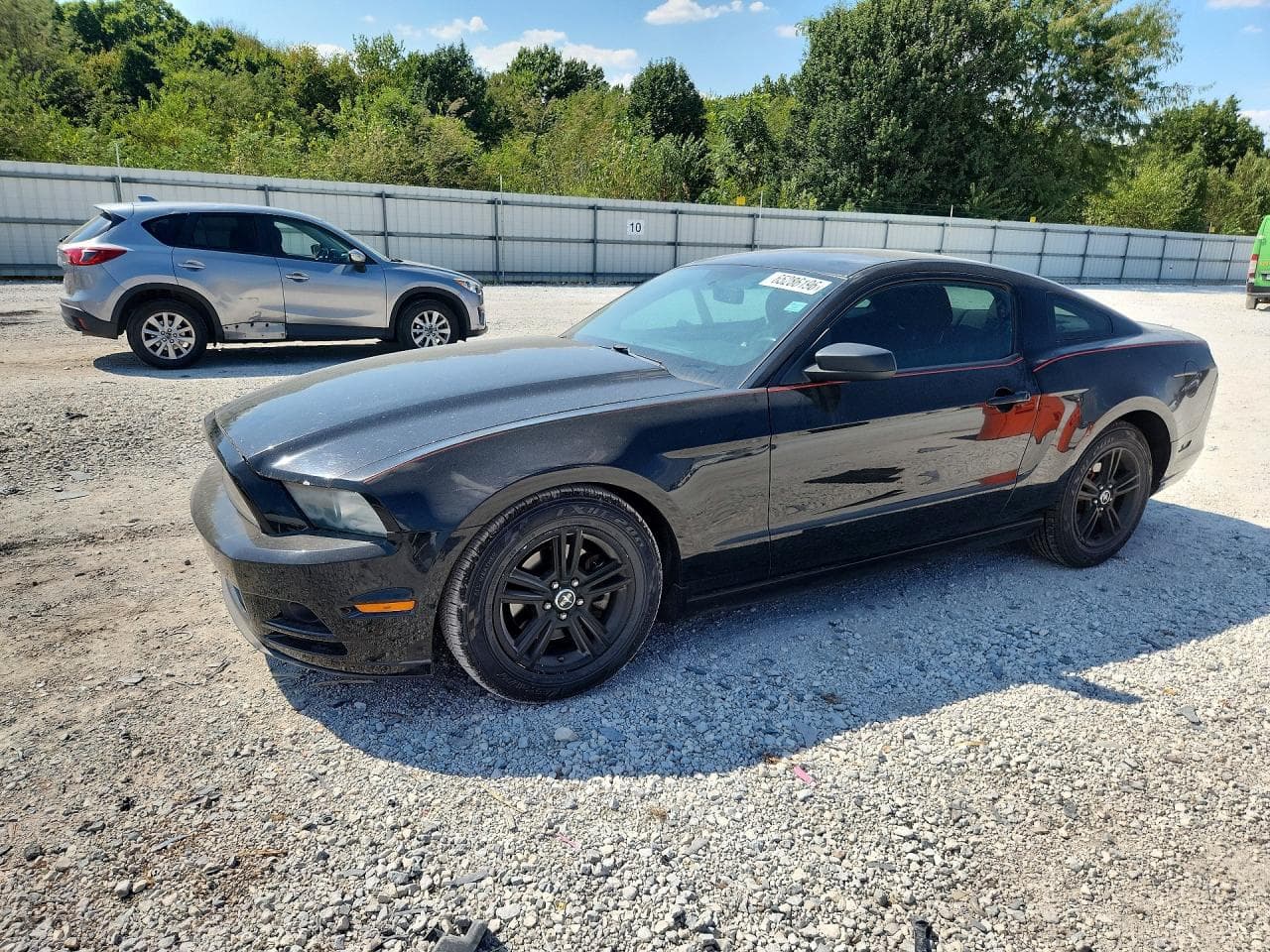 FORD MUSTANG