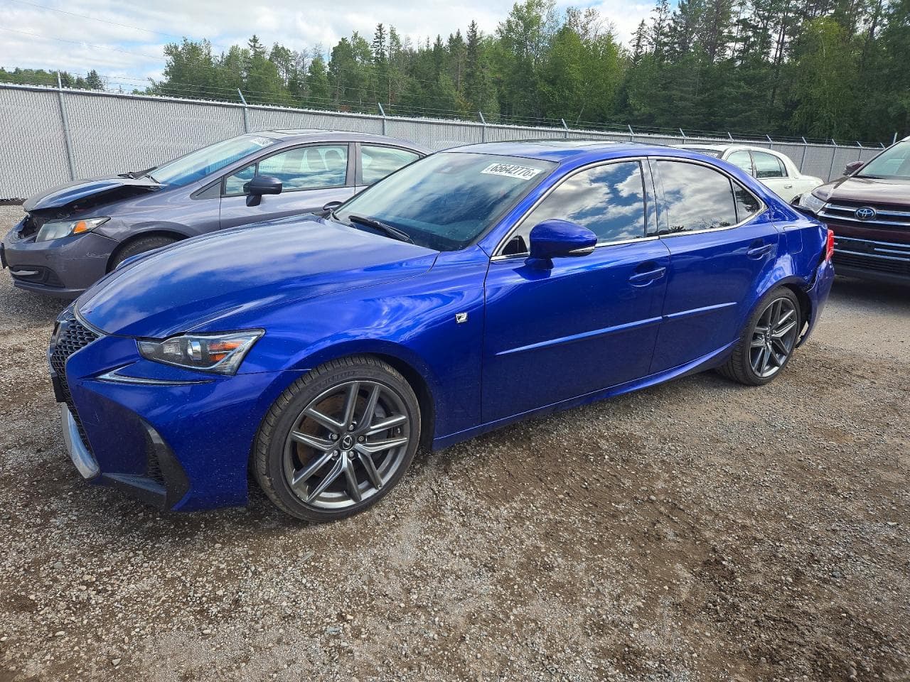 LEXUS IS