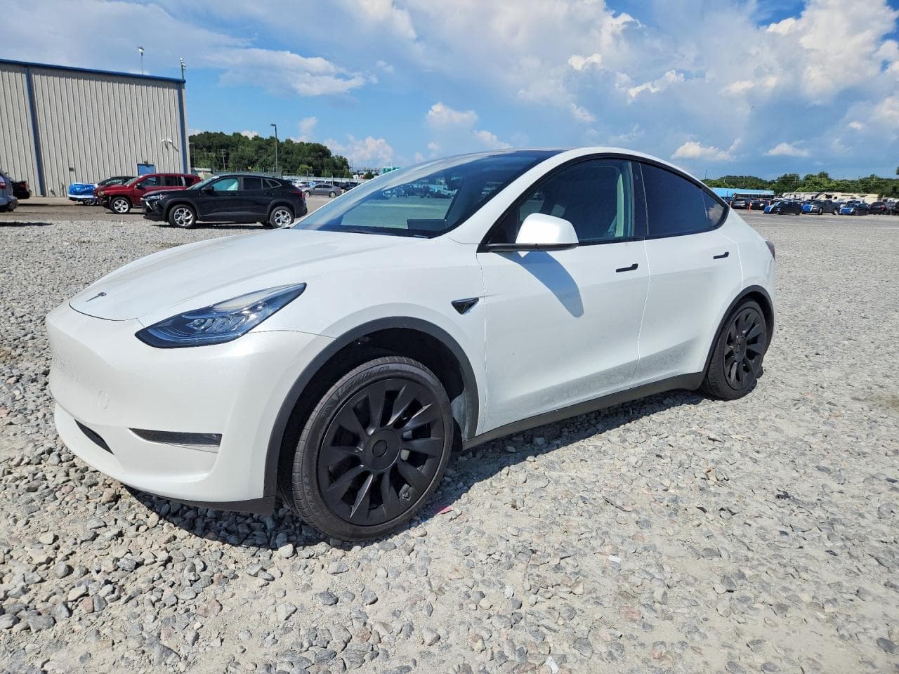 TESLA MODEL Y