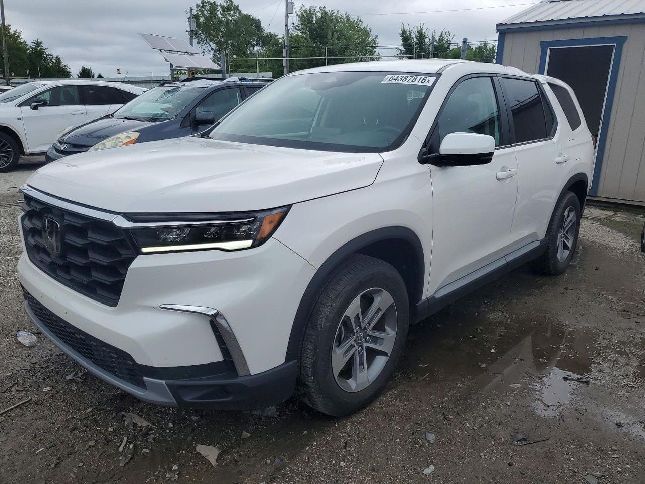 HONDA PILOT