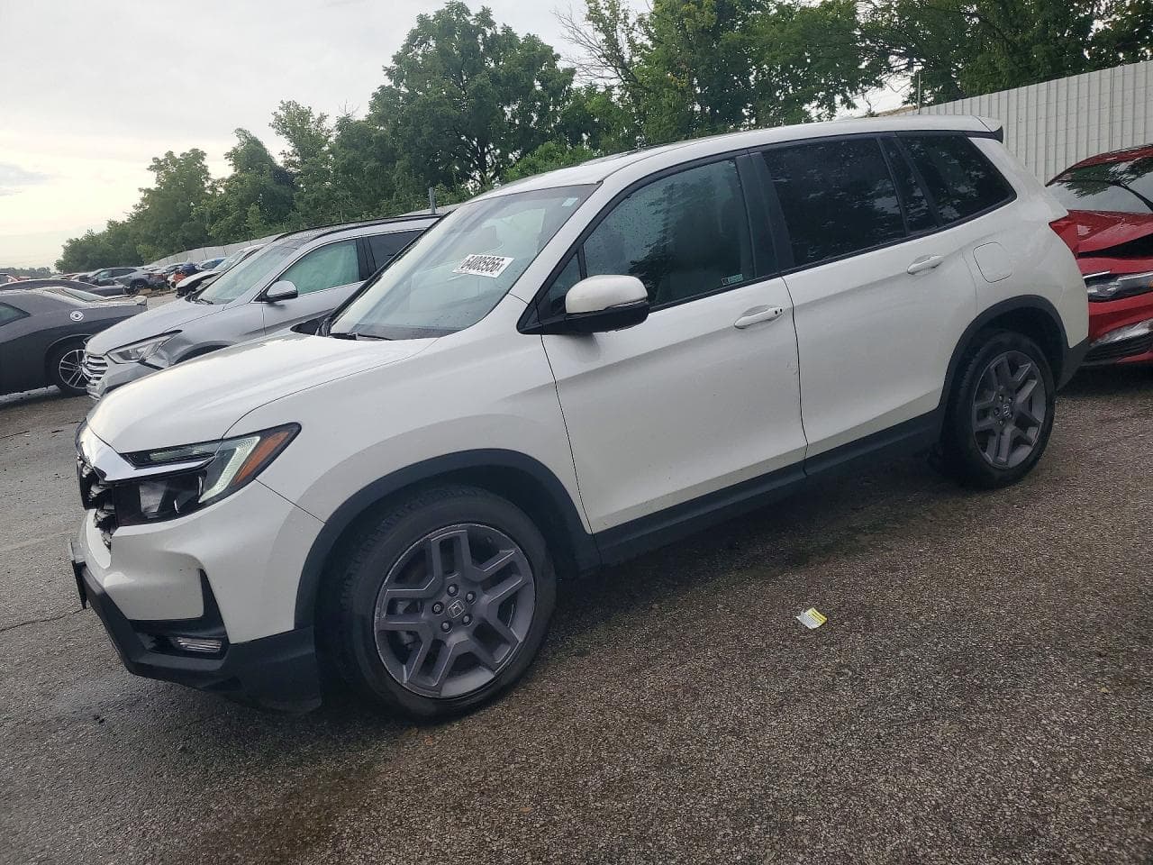 HONDA PASSPORT