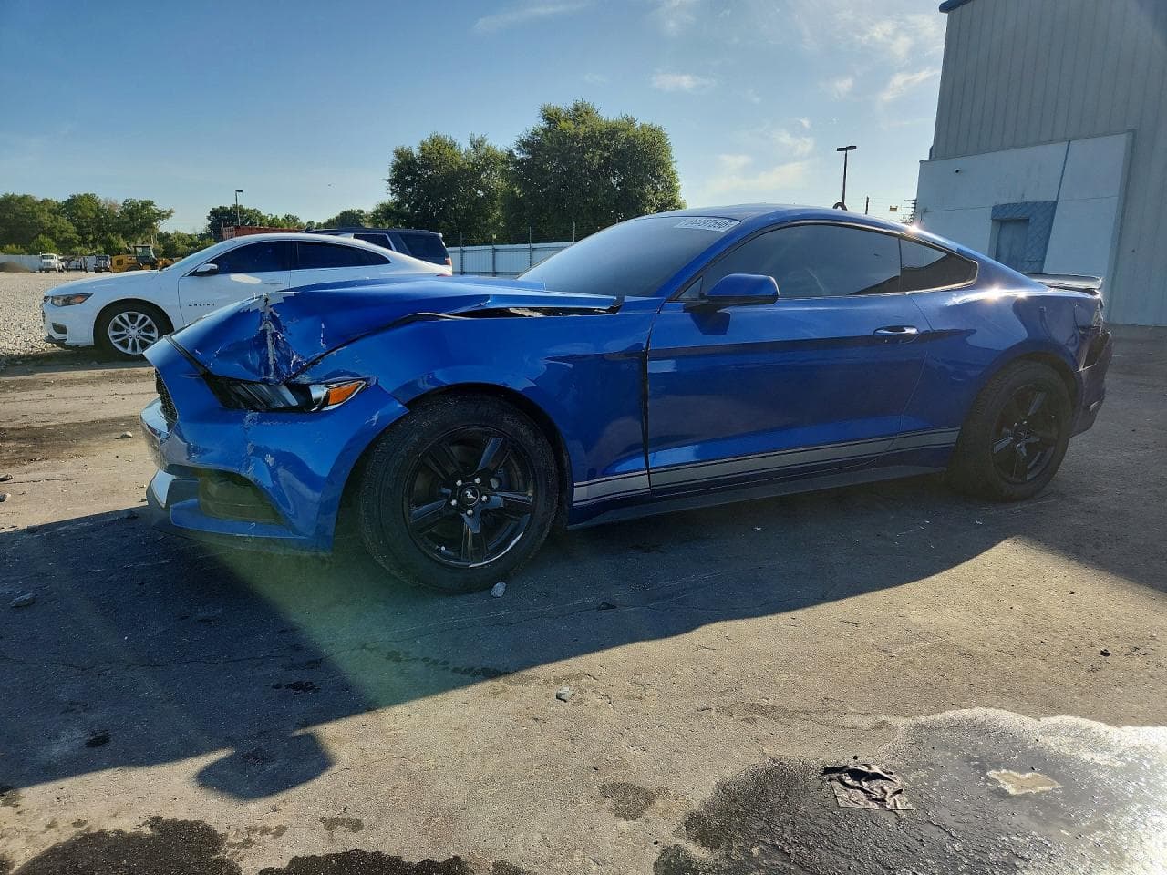 FORD MUSTANG