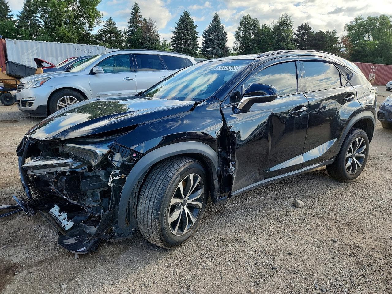 LEXUS NX