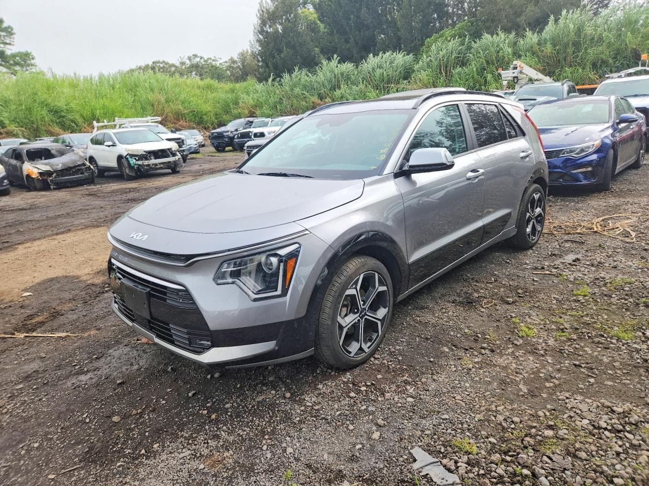 KIA NIRO