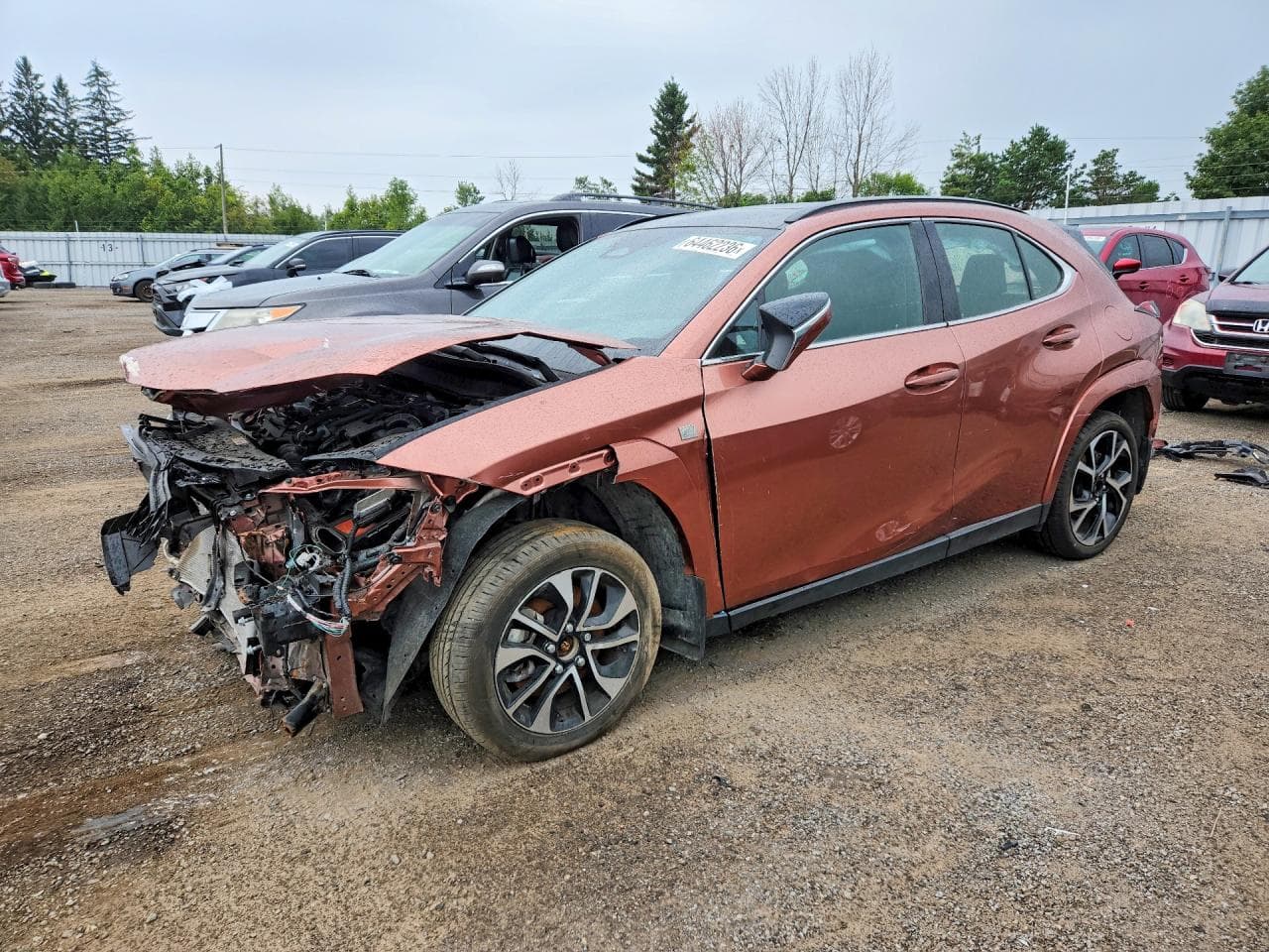2025 LEXUS UX 300H
