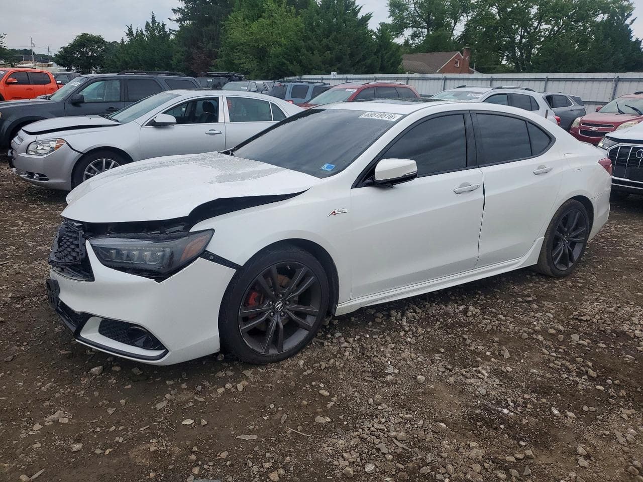 ACURA TLX