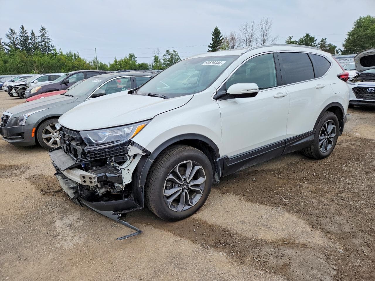 HONDA CRV