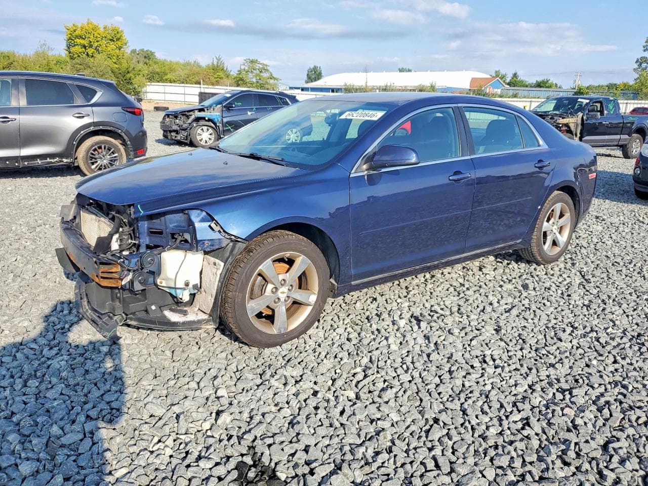CHEVROLET MALIBU