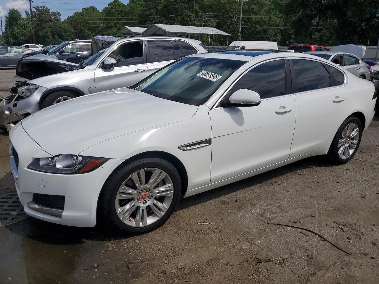 JAGUAR XF