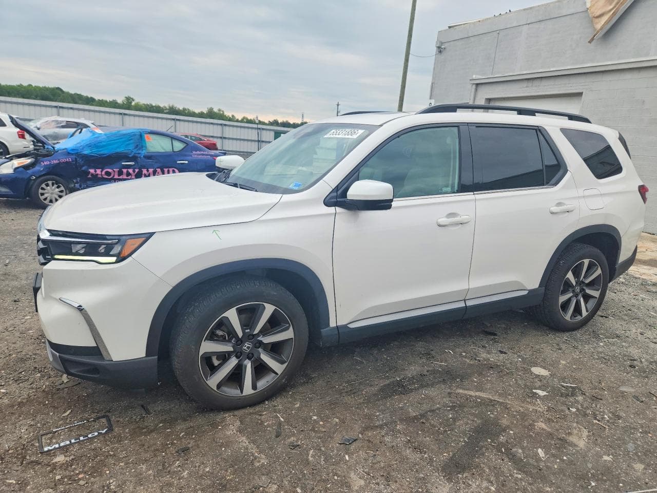 HONDA PILOT