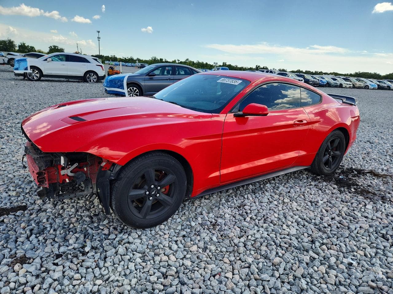 FORD MUSTANG