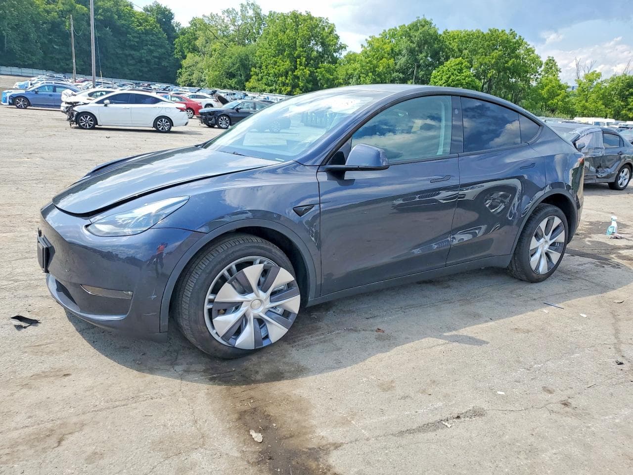 TESLA MODEL Y