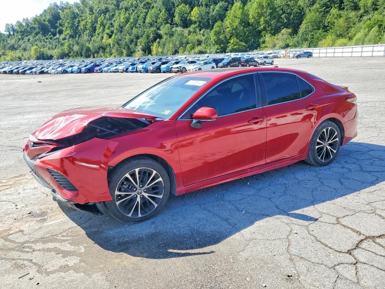 TOYOTA CAMRY