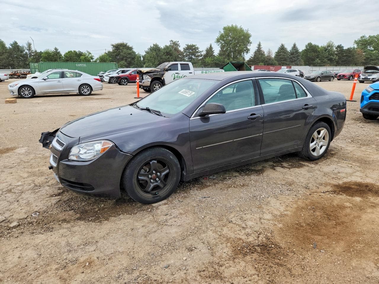 CHEVROLET MALIBU