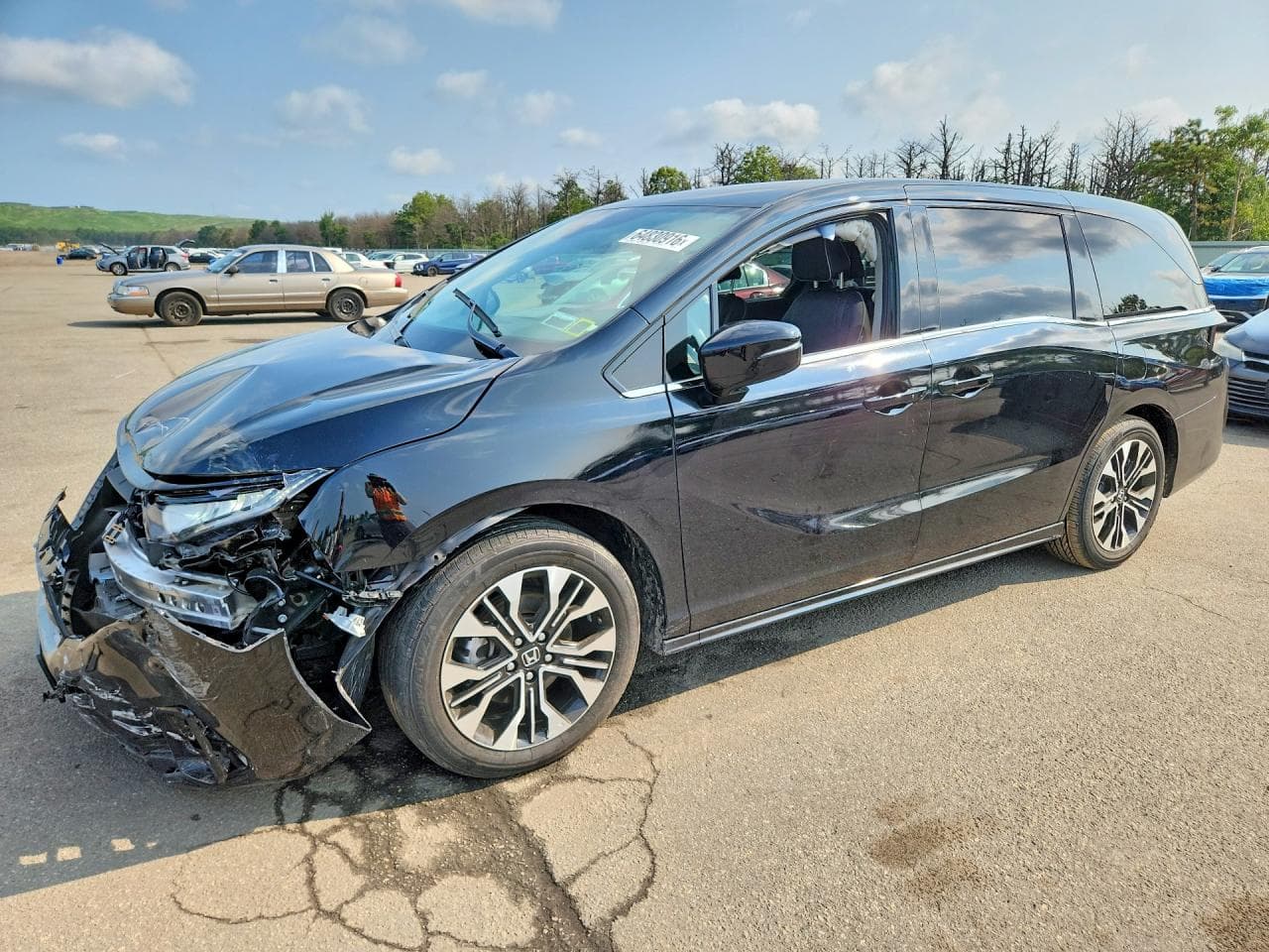 HONDA ODYSSEY