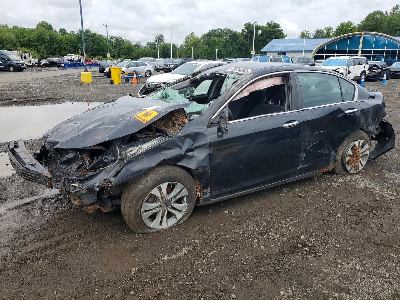 HONDA ACCORD