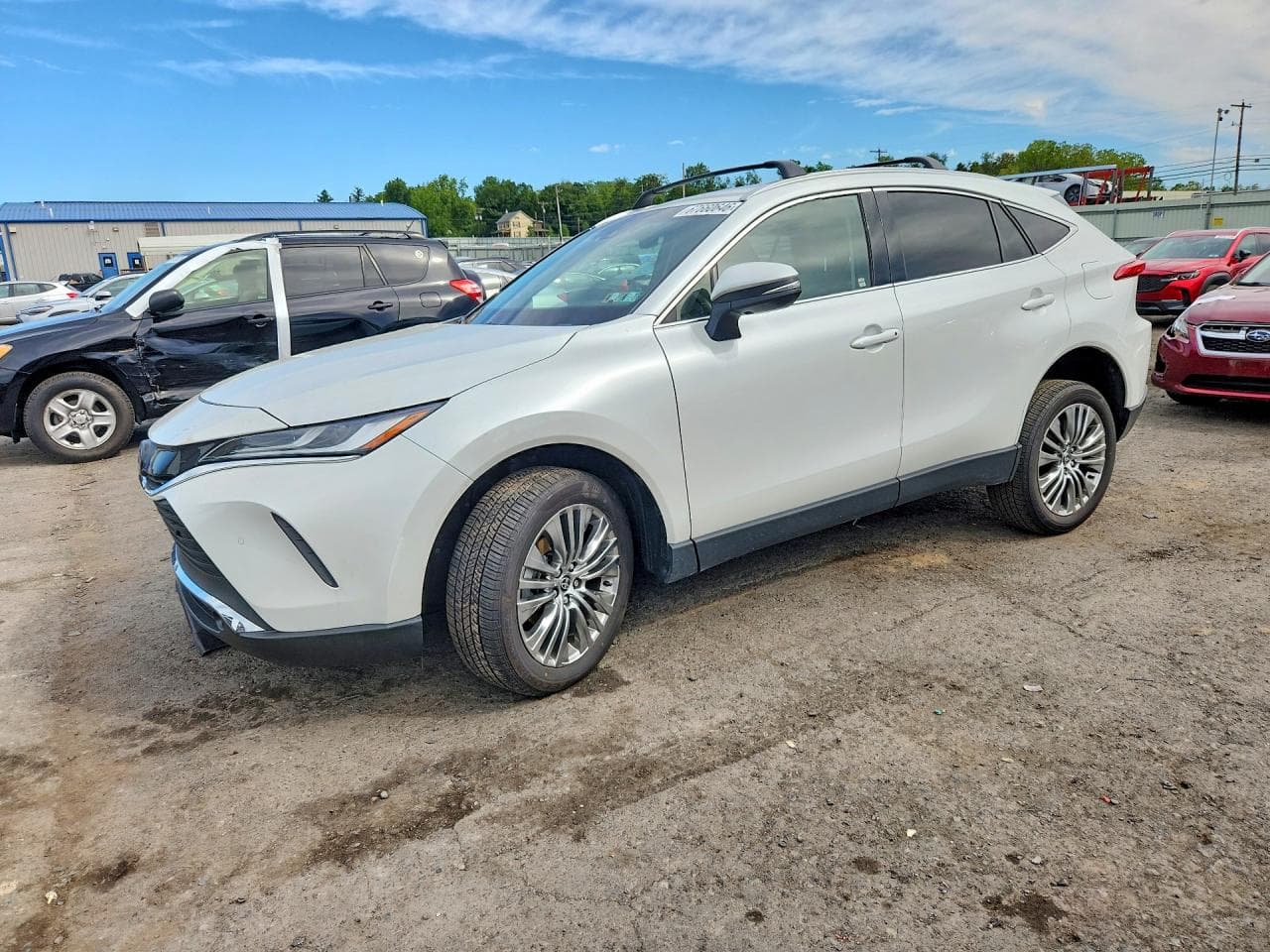 2023 TOYOTA VENZA