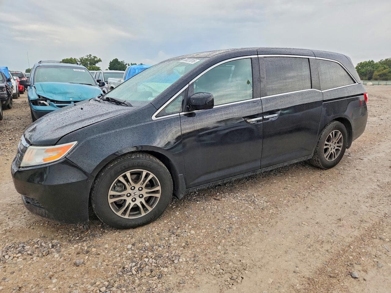 HONDA ODYSSEY