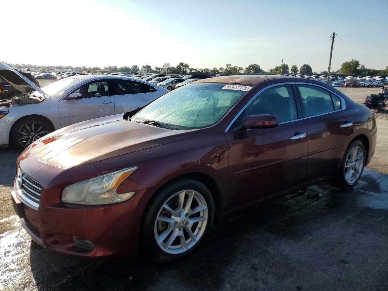 NISSAN MAXIMA