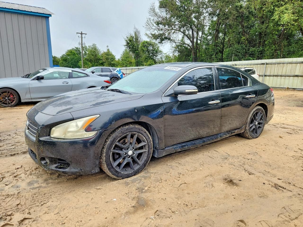 NISSAN MAXIMA