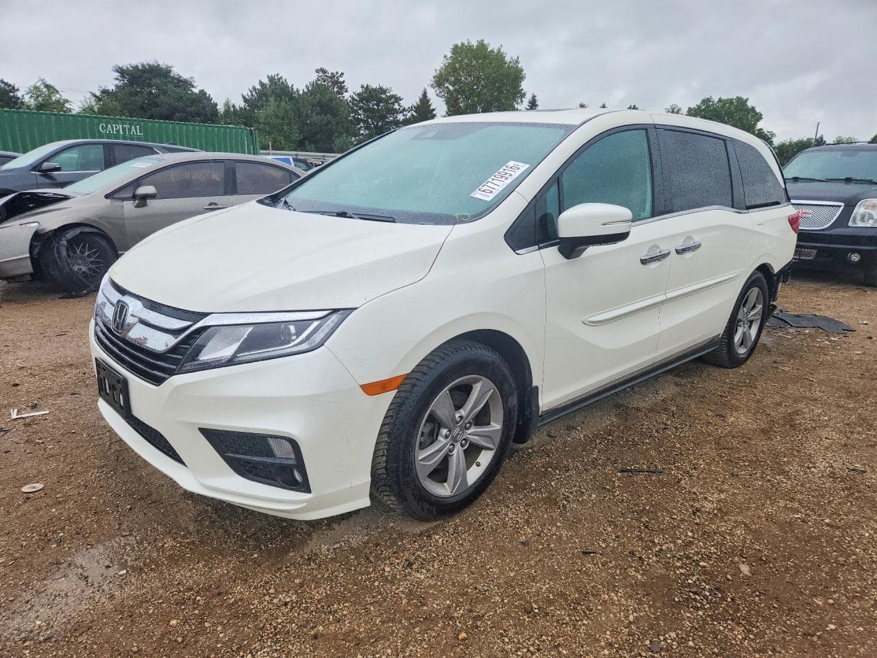 HONDA ODYSSEY