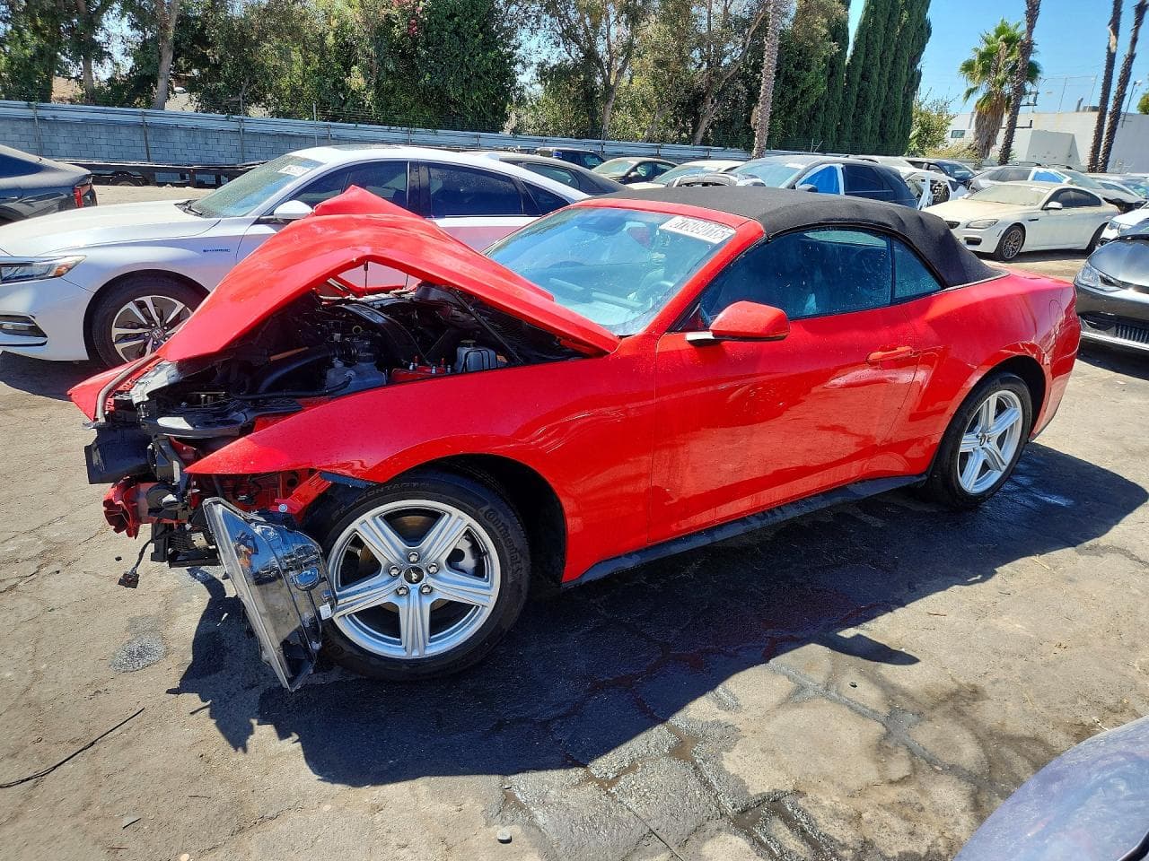 FORD MUSTANG