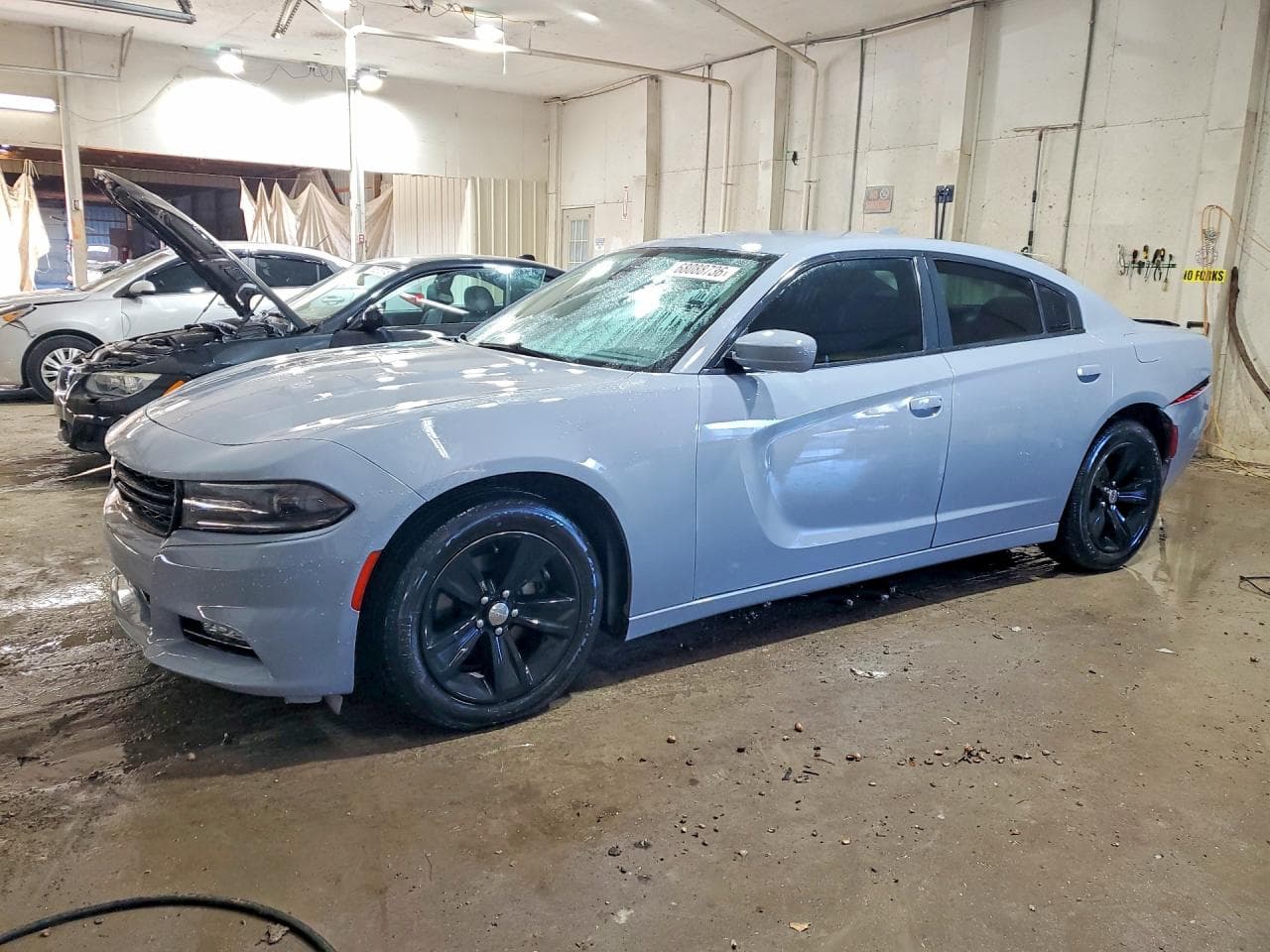 DODGE CHARGER